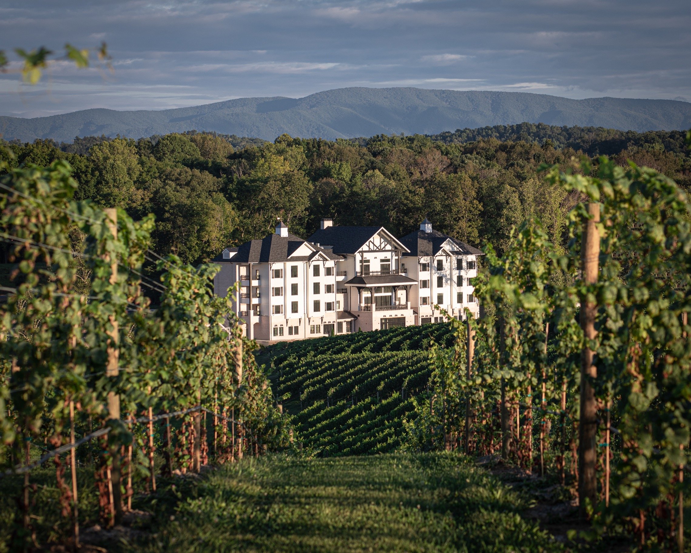 Vineyards hot sale around me